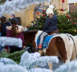 balade en poney sucy