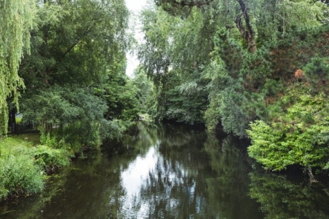 rivière Marne