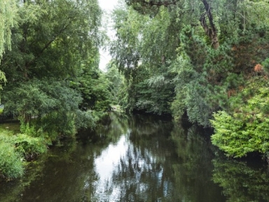 Agrandir l’image